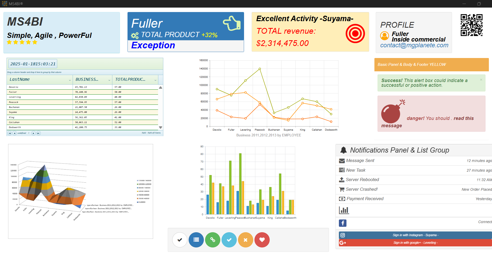 MS4BI Financial Dashboard