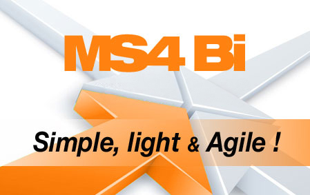 MS4BI_agile