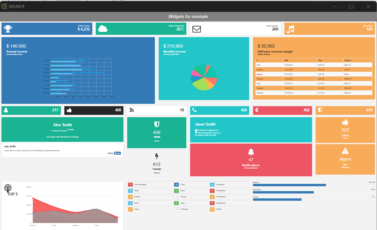 MS4BI Demo 1